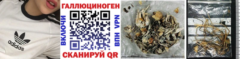 Галлюциногенные грибы Cubensis  где купить наркоту  Комсомольск-на-Амуре 